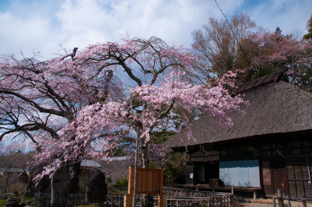 Villa Tombouctou à Fujimi Extérieur photo